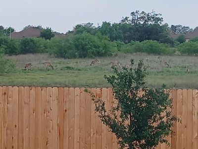 New construction Single-Family house 184 Cowboy Rdg, Pleasanton, TX 78064 - image