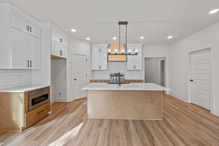 New construction Single-Family house 109 Esteph Ct, White House, TN 37188 plan One Story Farmhouse - image 4