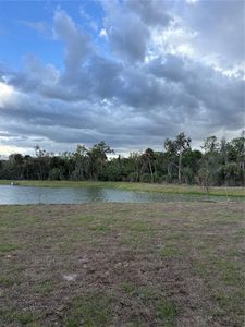New construction Single-Family house 13111 Sassafras Trl, Parrish, FL 34219 - image 12