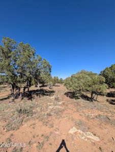 New construction Single-Family house 7267 Red Feather Ct, Happy Jack, AZ 86024 - image 7