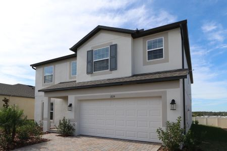 New construction Single-Family house 12219 Hilltop Farms Dr, Dade City, FL 33525 Malibu- photo 121 121