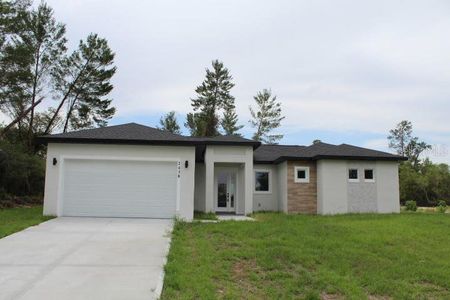 New construction Single-Family house 2438 Sw 165Th Street Rd, Ocala, FL 34473 null- photo 0