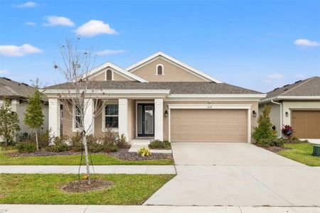 New construction Single-Family house 6314 Roadstead Ct, Apollo Beach, FL 33572 Sandpiper- photo 0