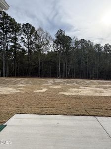 New construction Single-Family house 2337 Fleming Rd, Fuquay Varina, NC 27526 plan McKimmon - image 19