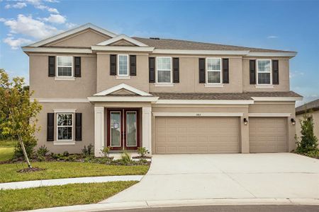 New construction Single-Family house 5342 Wolf Creek Drive, Apollo Beach, FL 33572 - photo 0