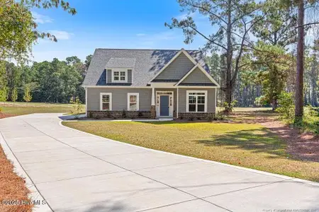New construction Single-Family house 3 Vineyard Pl, Jackson Springs, NC 27281 - image