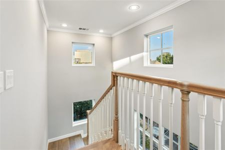 New construction Single-Family house 4032 Blossom St, Houston, TX 77007 - image 17