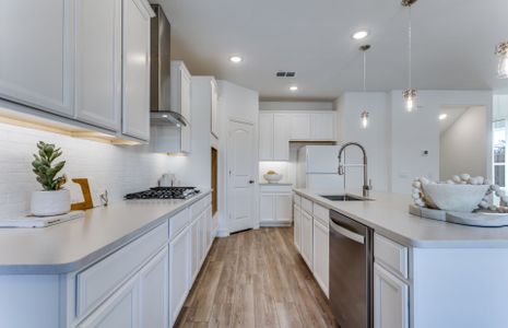 New construction Single-Family house 3924 Lynx Ct, Little Elm, TX 75068 Rybrook- photo 8 8