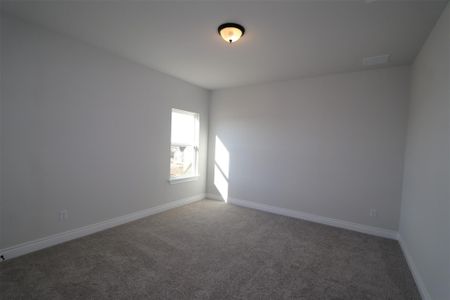 New construction Single-Family house 108 Red Camella Dr, Georgetown, TX 78628 Trinity II - C- photo 20 20
