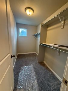 New construction Single-Family house 815 N Carrie St, Watkins, CO 80137 - image 19