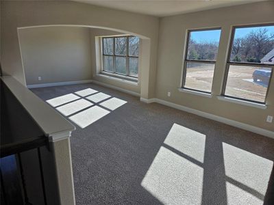 New construction Single-Family house 388 Willie'S, Whitesboro, TX 76273 - image 19