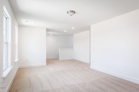 New construction Single-Family house 27 Cypress Moss Ct, Lillington, NC 27546 plan Summit - image 9