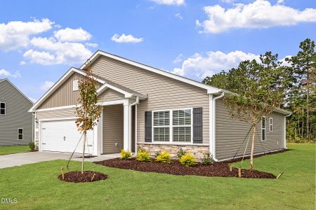New construction Single-Family house 1018 Rhino Bnd, Oxford, NC 27565 - image