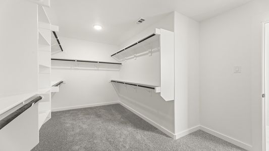 New construction Single-Family house 1412 Waterford Dr, Celina, TX 75009 plan Winchester - image 19