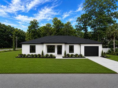 New construction Single-Family house 11491 Nw 92Nd Ct, Chiefland, FL 32626 - image