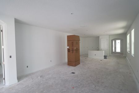 New construction Single-Family house 33227 Amling Pecan Br, Wesley Chapel, FL 33545 Newport II- photo 14 14