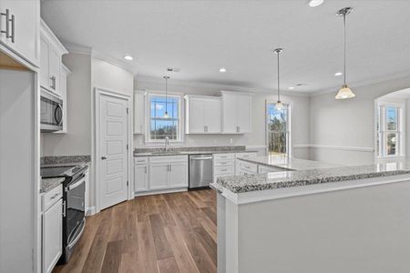 New construction Single-Family house 1032 Messer Farm Ln, Inman, SC 29349 - image 10