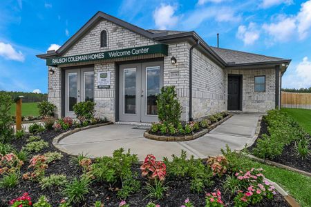 Magnolia Springs by Rausch Coleman Homes in Montgomery - photo 0 0