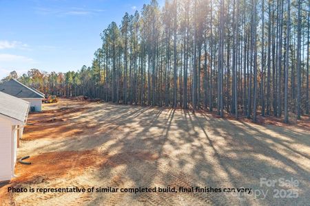 New construction Single-Family house 2263 Lee Lawing Rd, Lincolnton, NC 28092 - image 15