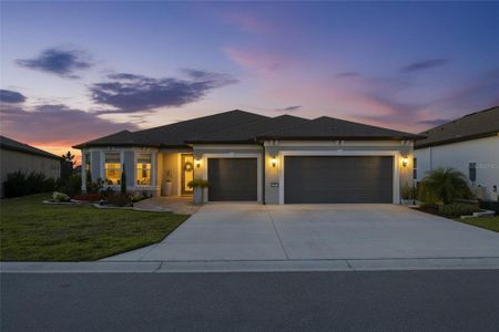 New construction Single-Family house 6032 Sw 86Th Terrace Rd, Ocala, FL 34481 - image