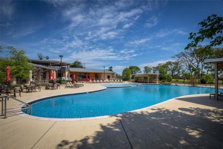 New construction Single-Family house 312 Bee Balm, McKinney, TX 75071 - image