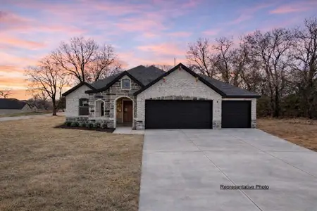 New construction Single-Family house 448 Mcalpine, Springtown, TX 76082 - image