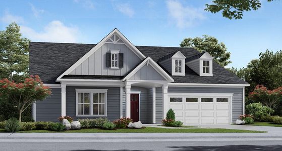 New construction Single-Family house 305 Sunkissed Wy, Summerville, SC 29486 - image