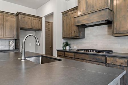 New construction Single-Family house 131 Spring Valley Rnch, Paradise, TX 76073 plan The Aylin - image 8