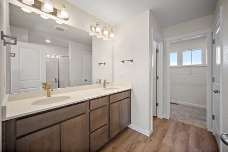 New construction Single-Family house 11991 Lake Trout Dr, Colorado Springs, CO 80925 plan Ash - image 11