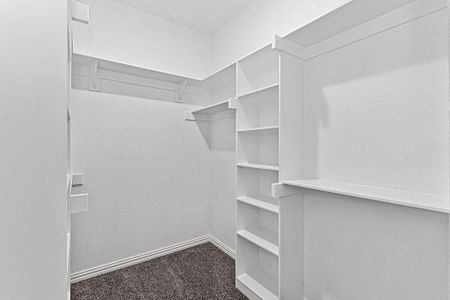 New construction Single-Family house 209 Lead Creek Dr, Fort Worth, TX 76131 - image 17