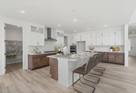 New construction Single-Family house 8850 Moonshimmer Trl, Littleton, CO 80125 4054 Morningside Elevation A - Modern Farmhouse- photo 6 6