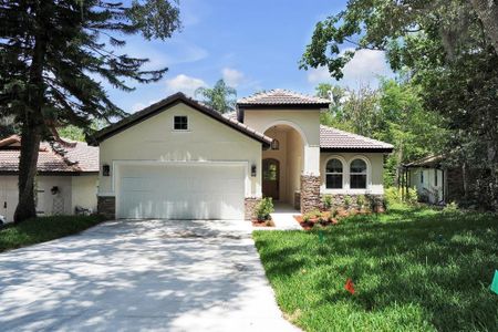 New construction Single-Family house Lane, Eustis, FL 32726 - photo 0