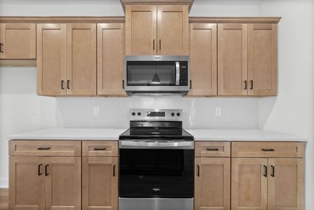 New construction Single-Family house 1080 Fox Dr, Clarksville, TN 37080 plan Maui - image 8