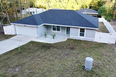 New construction Single-Family house 12889 Se 41St Ter, Belleview, FL 34420 - image