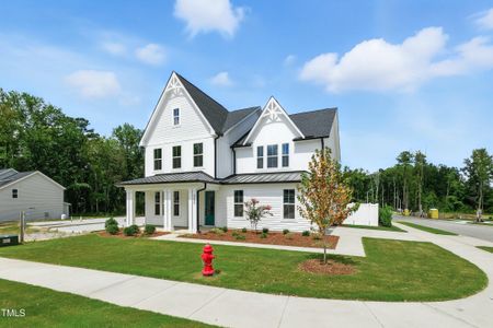 New construction Single-Family house 3200 Balcon Ct, Angier, NC 27501 plan The Hampton - image