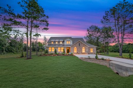 New construction Single-Family house Conroe, TX 77306 plan Frankfurt - image