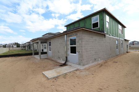 New construction Single-Family house 38413 Pindos Dr, Dade City, FL 33525 Picasso Bonus- photo 41 41