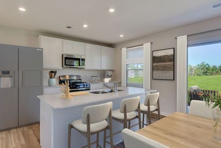 New construction Single-Family house 317 Paratrooper Ln, Columbia, SC 29229 plan Julep - image