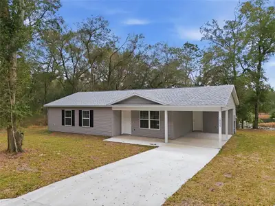 New construction Single-Family house 16450 Se 57Th Pl, Ocklawaha, FL 32179 - image