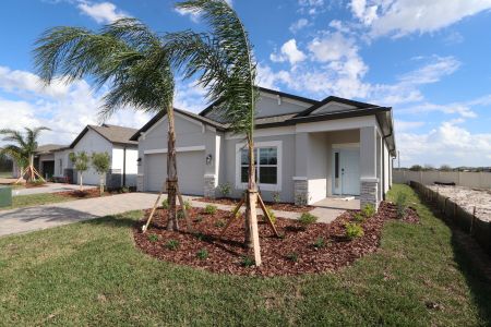 New construction Single-Family house 3142 Adams Cross Dr, Zephyrhills, FL 33540 Picasso- photo 102 102