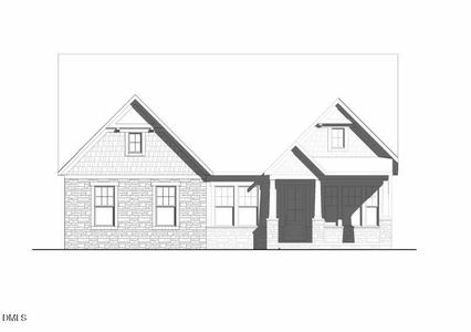 New construction Single-Family house 173 Bulk Barn Rd, Angier, NC 27501 - image