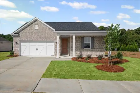 New construction Single-Family house 244 Nesta Grove, Locust Grove, GA 30248 - image