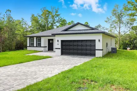 New construction Single-Family house 225 W Diego Pl, Citrus Springs, FL 34434 - image