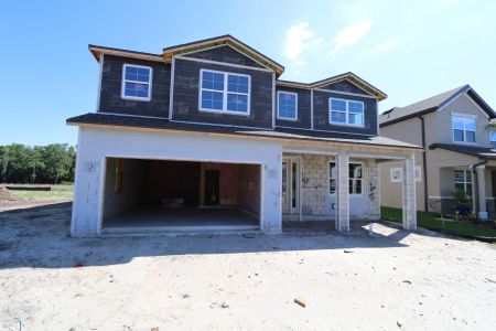 New construction Single-Family house 10734 New Morning Drive, Tampa, FL 33647 Sonoma II- photo 0