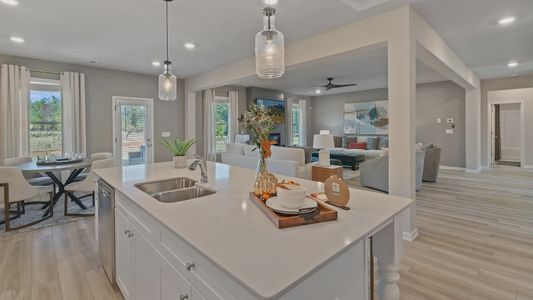New construction Single-Family house 245 Locust Rd, Locust Grove, GA 30248 plan McKinley II - Side Entry - image 19