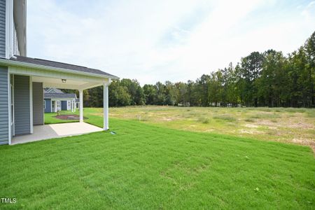 New construction Single-Family house 236 Abingdon Farms Dr, Selma, NC 27576 Naples- photo 40 40