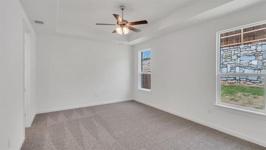 New construction Single-Family house 213 Mystic Canyon Ln, Georgetown, TX 78628 The Reagan II- photo 20 20