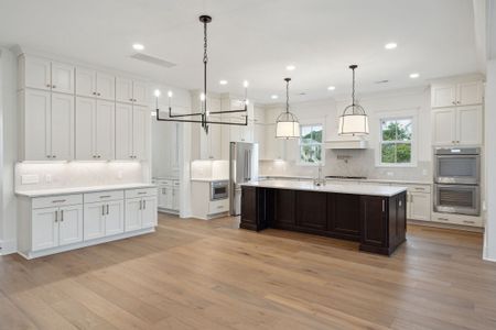 New construction Single-Family house 314 Mammoth Trace Dr, Smyrna, TN 37167 plan Holland - Single Family Homes - image 7