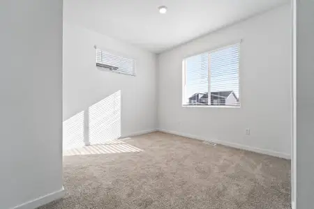 New construction Single-Family house 3912 Lake Clark St, Evans, CO 80620 plan Telluride - image 20