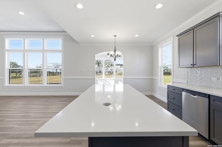 New construction Single-Family house 21131 Prairie Rose, San Antonio, TX 78264 plan Franklin - image 14